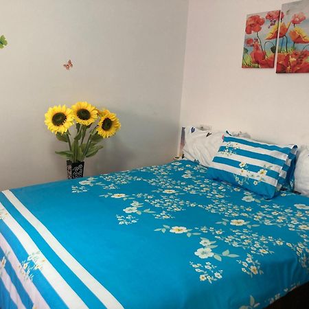 דירות בראשוב Cosy Hideaway מראה חיצוני תמונה