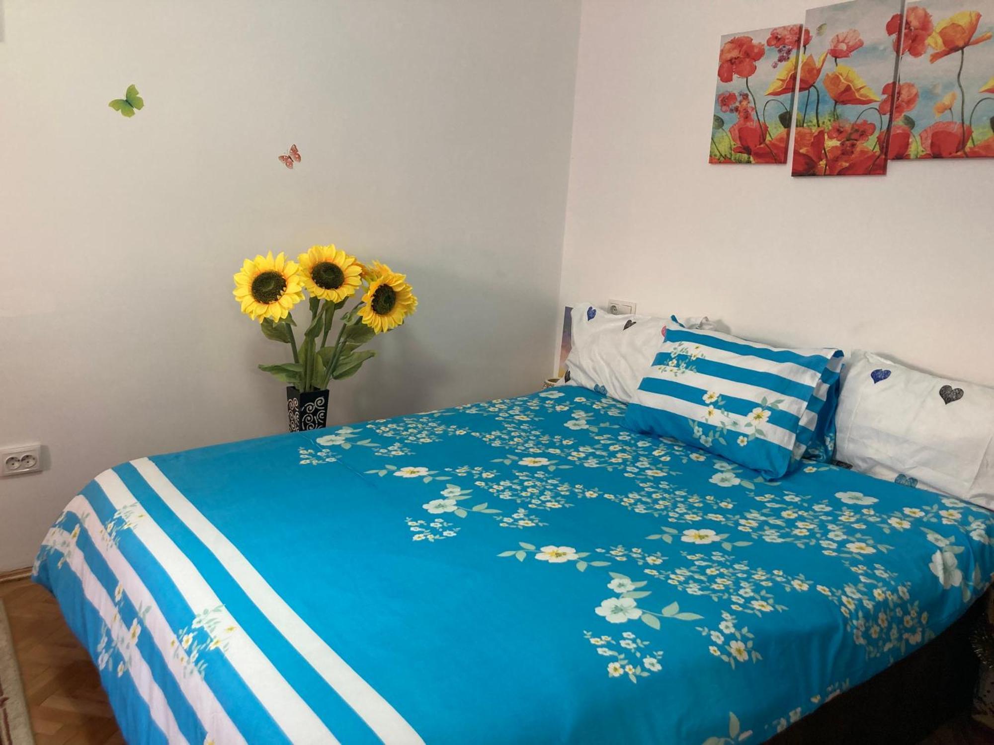 דירות בראשוב Cosy Hideaway מראה חיצוני תמונה